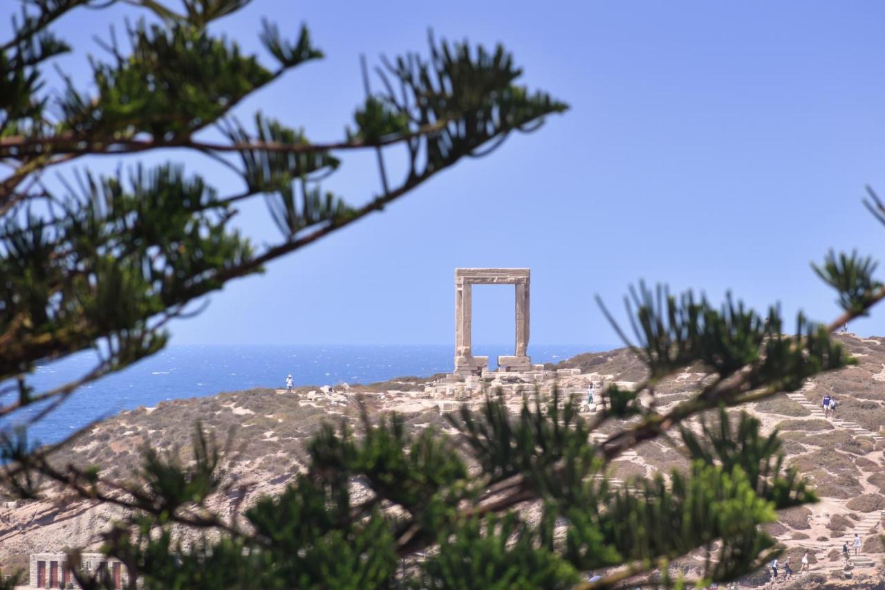 Mariet Naxos Spa & Suites Naxos City Exteriér fotografie